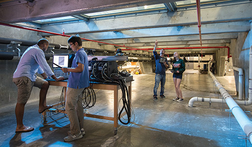 The tank allows observations from underneath, where researchers can easily record data.